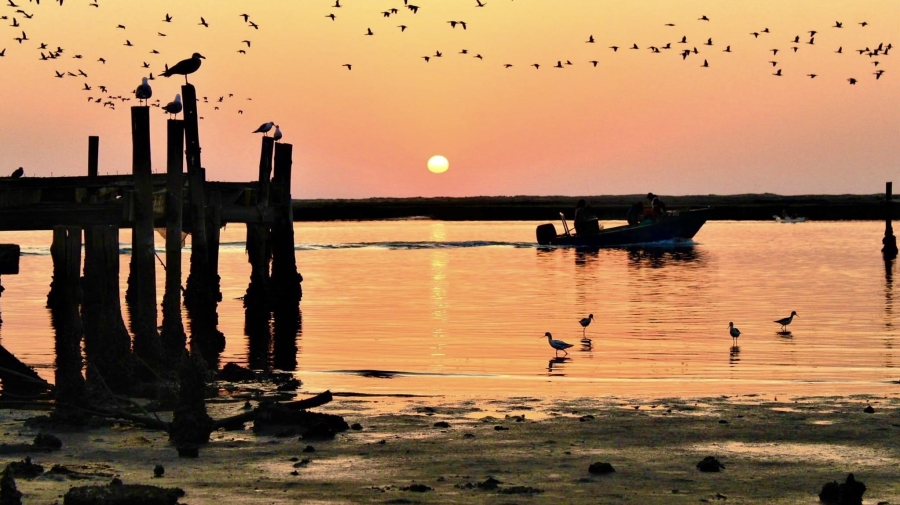 0 Bedroom Property for Sale in Velddrif Western Cape